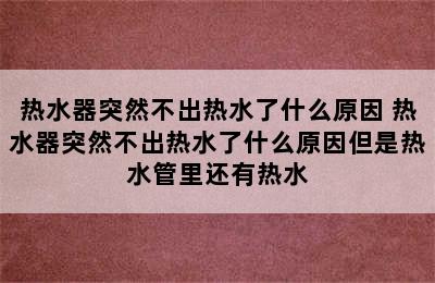 热水器突然不出热水了什么原因 热水器突然不出热水了什么原因但是热水管里还有热水